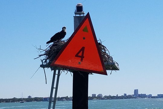 Tour image 10